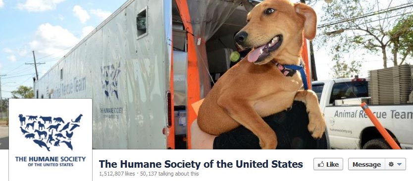 Social media offers non-profits innovative ways to reach out